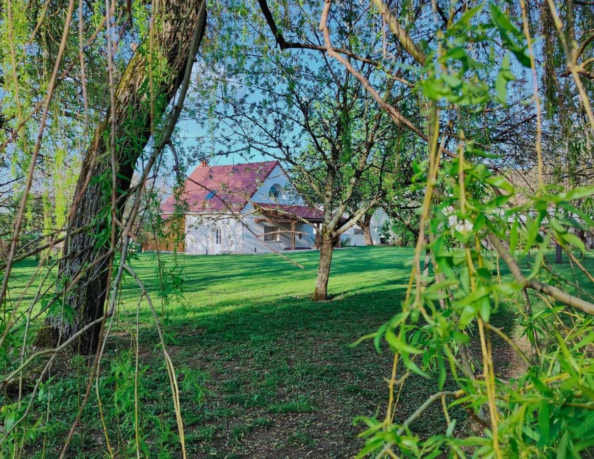 Domaine Saint Loup - 10Min Beaune Buitenkant foto